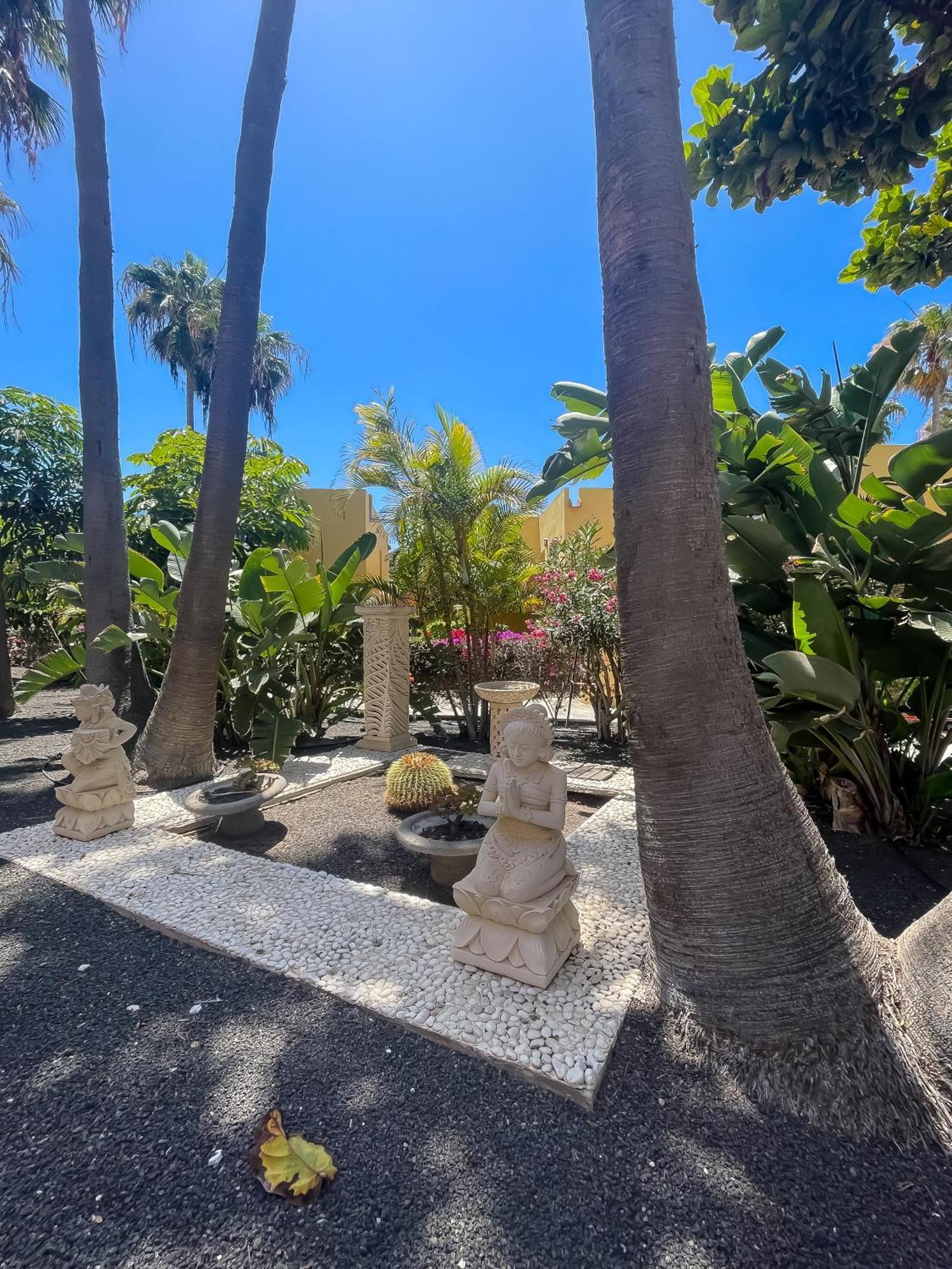 B-Rent Atlantic Garden 181 Apartman Corralejo Kültér fotó